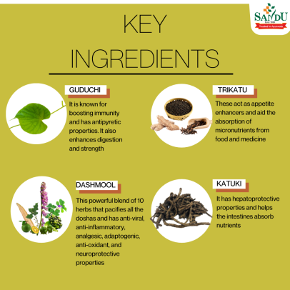 Key Ingredients of Immunity Booster