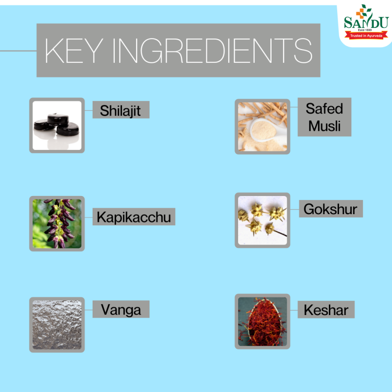 Key Ingredients for Sandu Vimfix