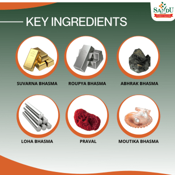 Key Ingredients of Sandu Brihat Vat Chintamani Ras