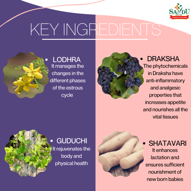 Key Ingredients of Sandu Balant Kadha