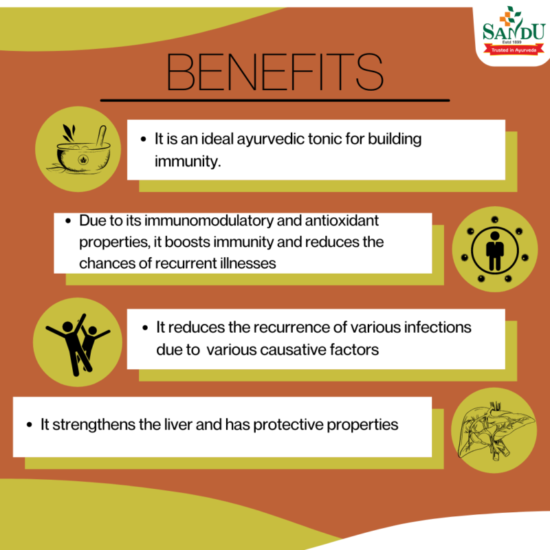 Benefits of Ayurvedic Immunity Booster