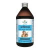 Sandu Arvindasav (450 ml)