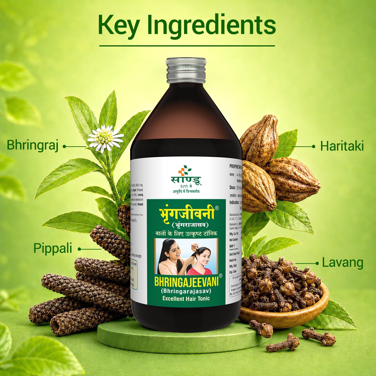 Key Ingredients section