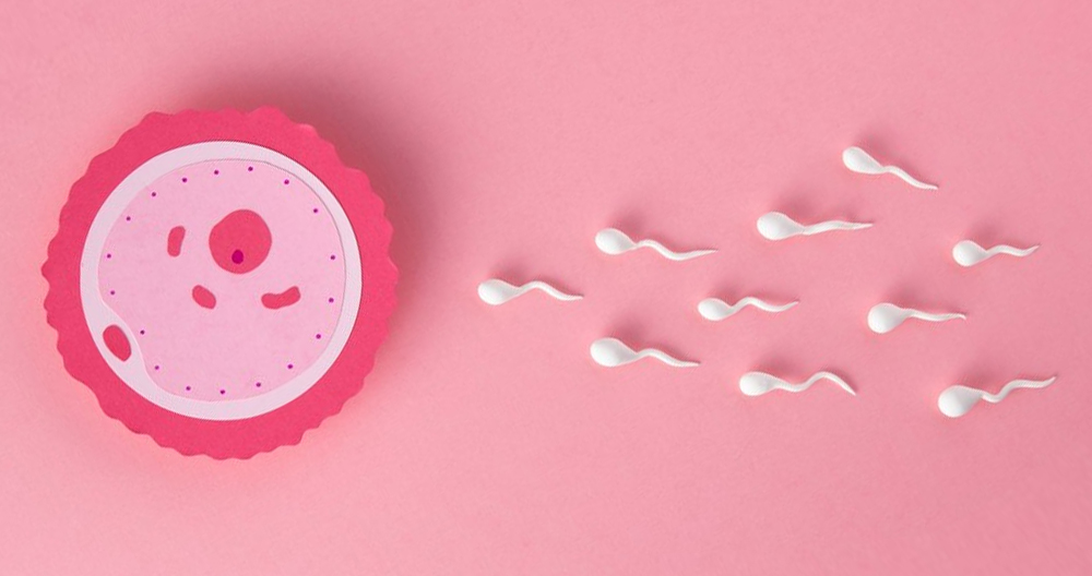 Boost Your Sperm Count Naturally