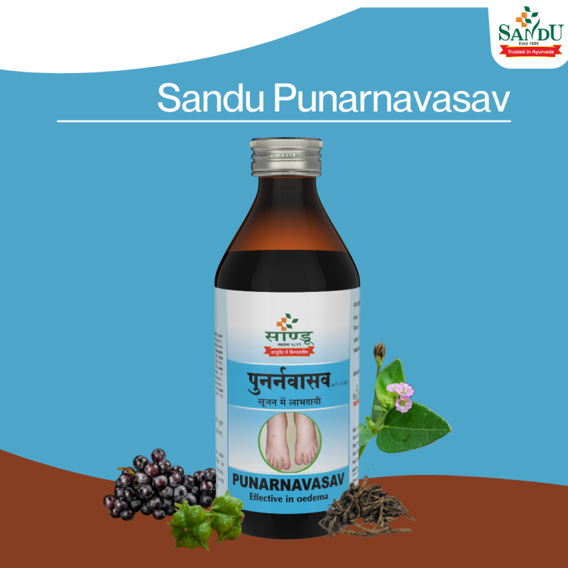 Sandu Punarnavasav - Image 5