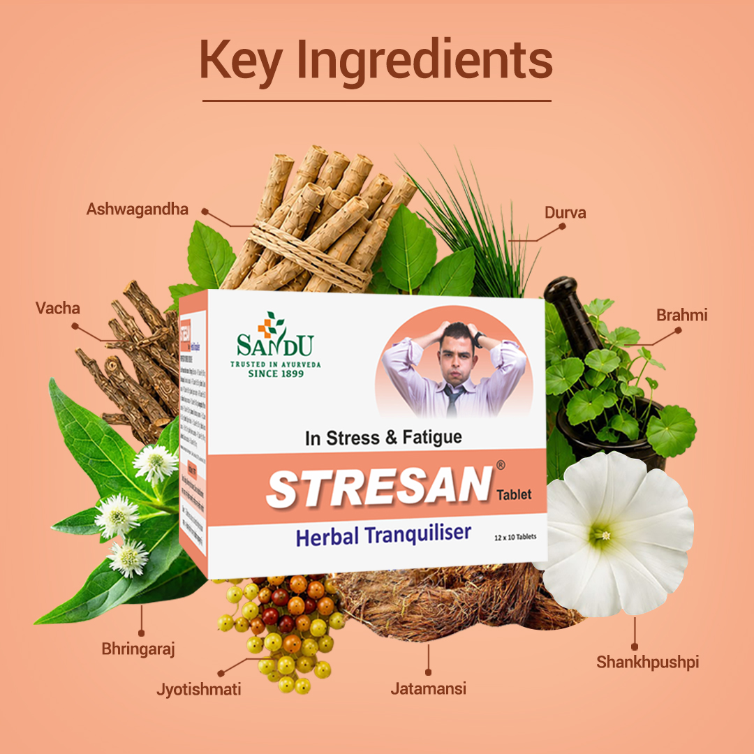 Sandu Stresan - Image 2