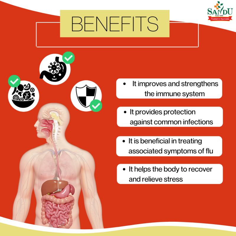 MSK Plus Kadha - Image 5