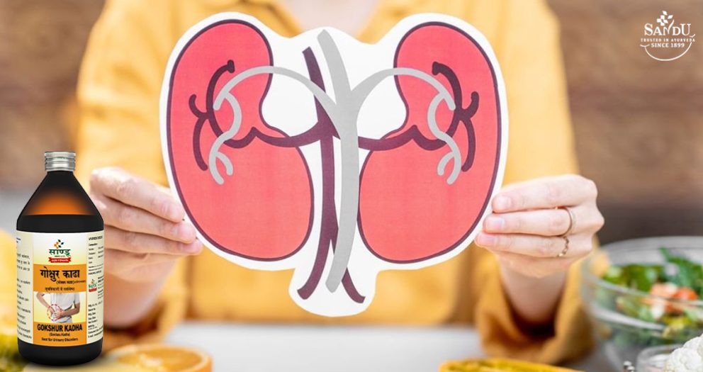 Ayurvedic Medicine for Renal Health