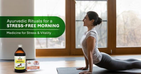 Women Doing Yoga in Morning