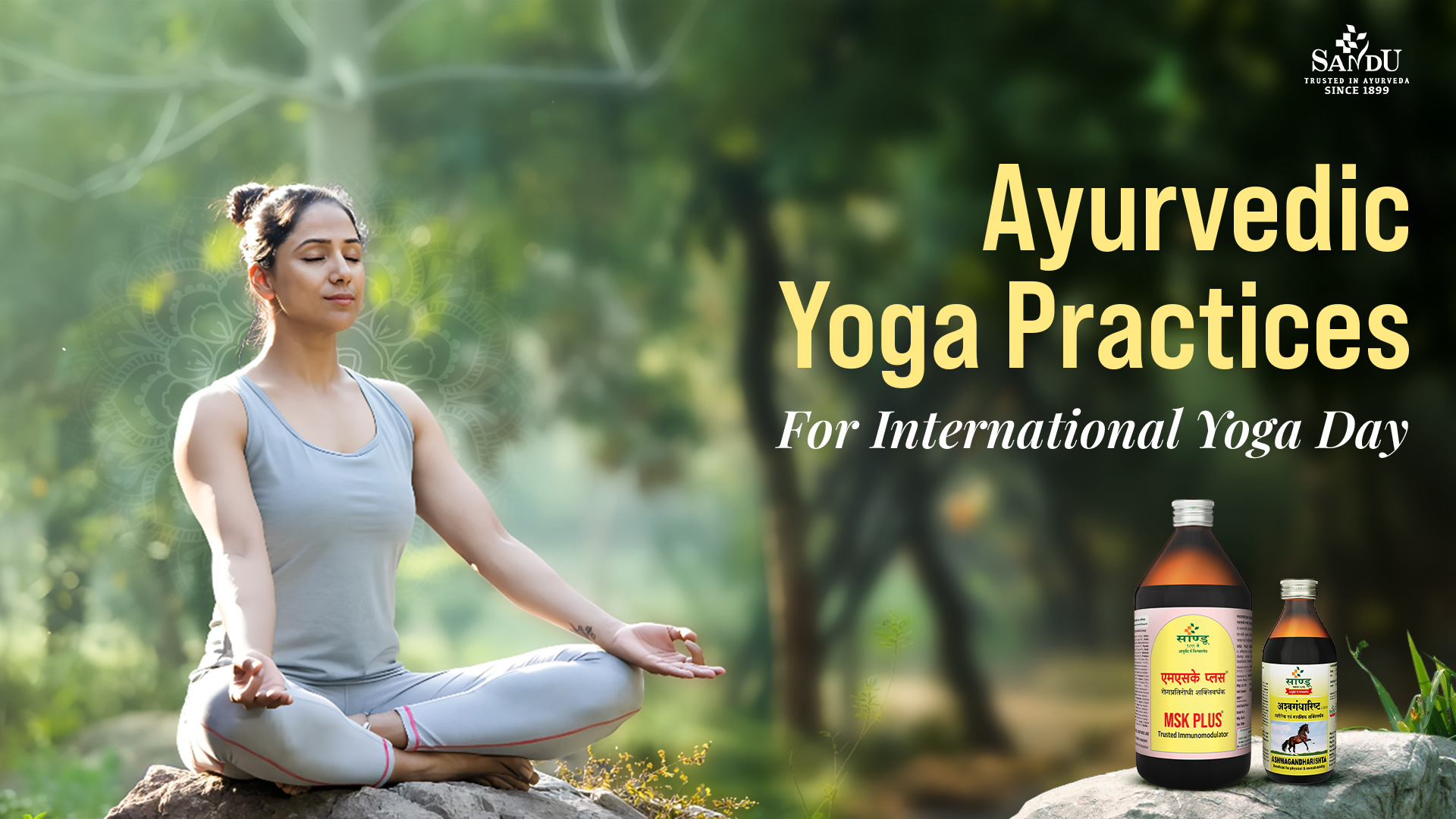International Yoga Day