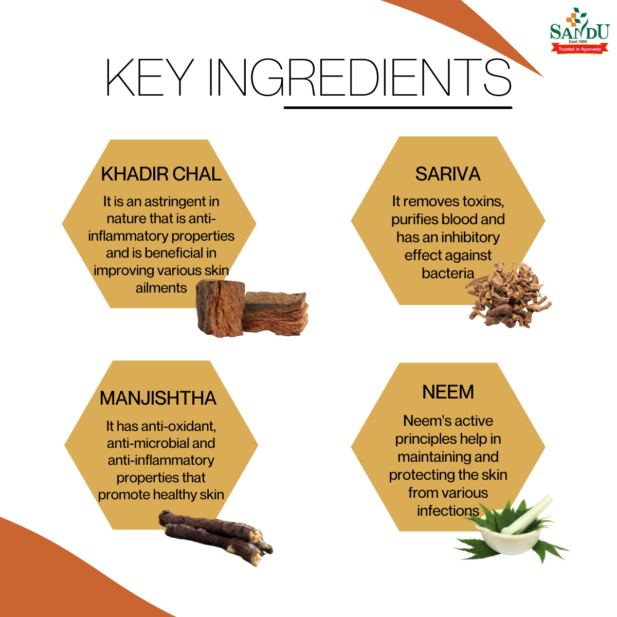 Key Ingredients for Ayurvedic Blood Purifier