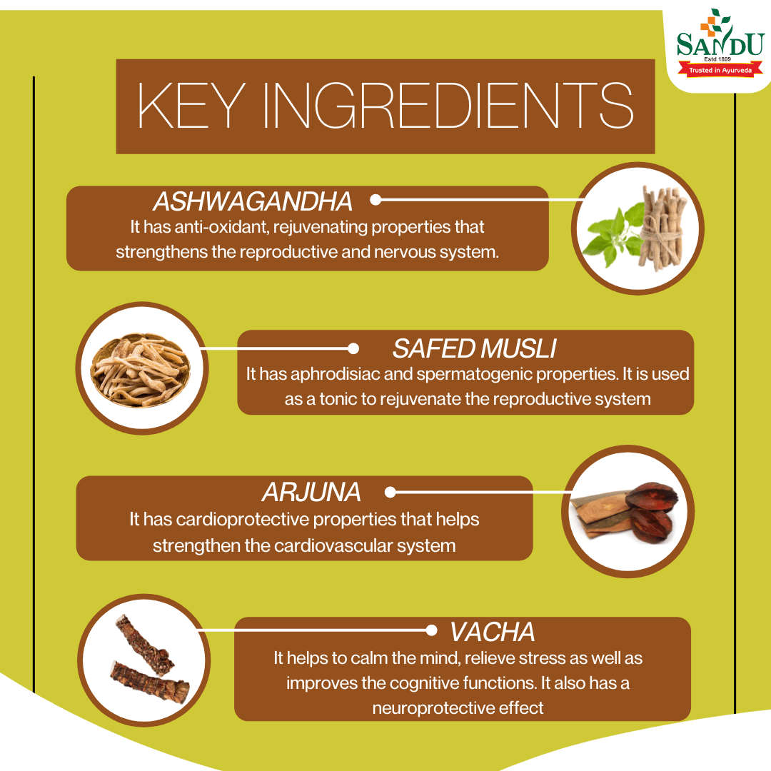 Key Ingredients - Ayurvedic Medicine for Weakness and Fatigue