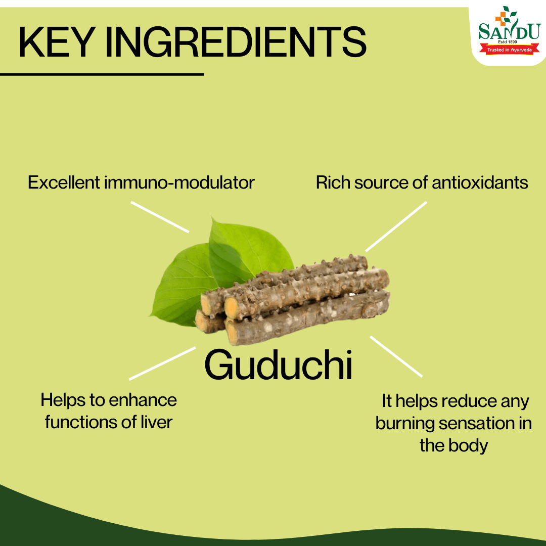 Sandu Samshamani Vati (30 Tab) (125 mg) - Pack of 4 - Image 3