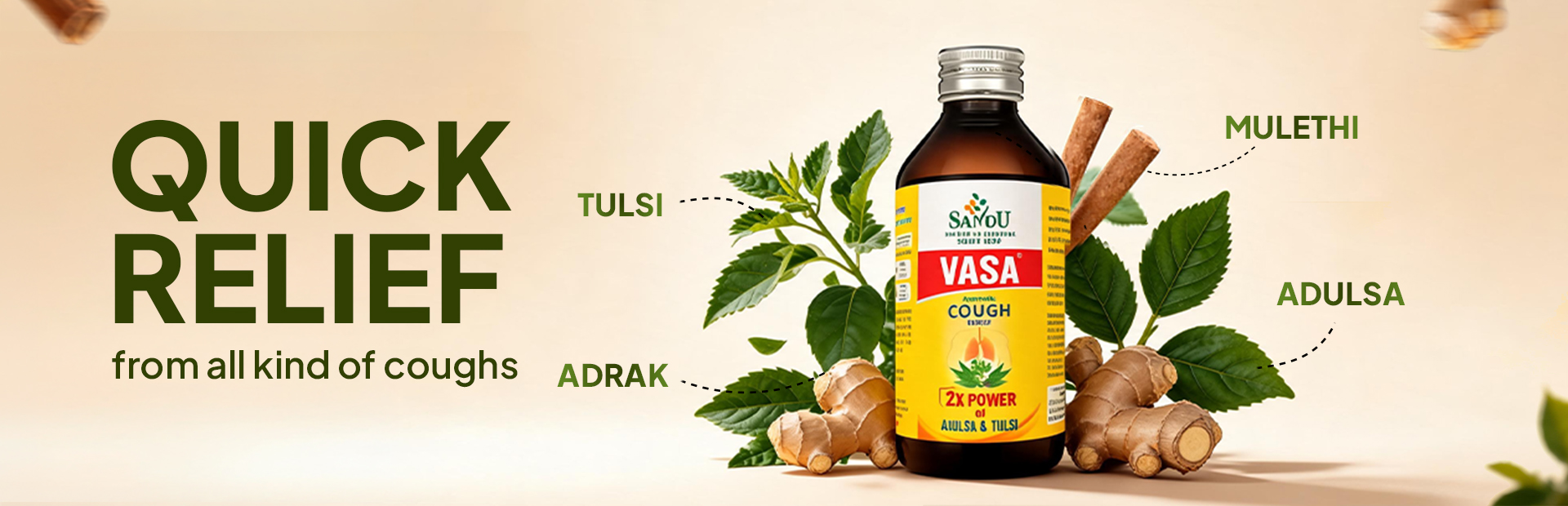 Sandu Vasa banner