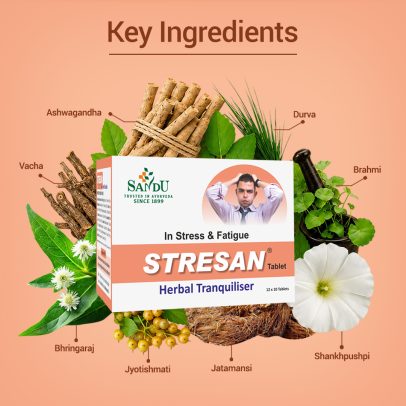 Sandu Stresan - Key Ingredients